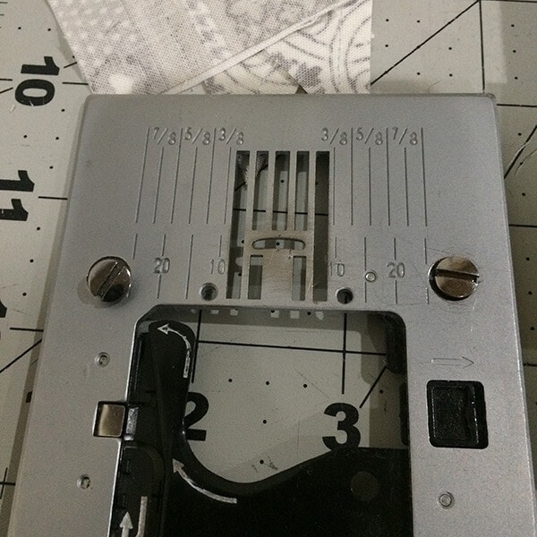 Photo of a switch plate and screws that have been removed from a sewing machine